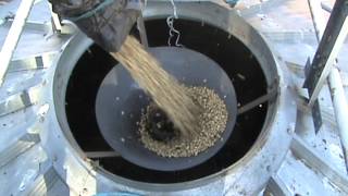 Loading Spring Beans into a grain silo