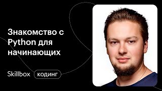 Основные элементы Python. Интенсив по программированию