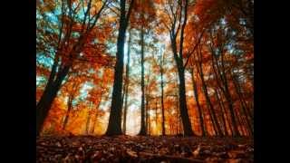 Celtic Moon Pagan Community