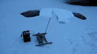 Snow Goose hunting decoy the stalker