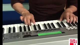 Latin Jazz Trio my little suede shoes