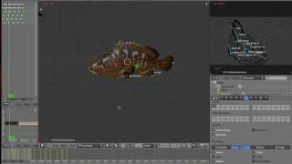 Animating Epinephelus marginatus