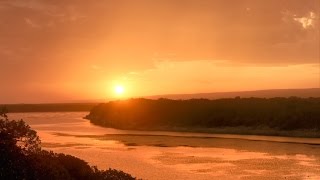 8 Hour Sleeping Music, Calming Music, Music for Stress Relief, Relaxation Music, Sleep Music, ☯422