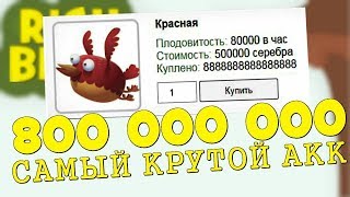 Rich Birds Самый крутой Акк 800000000 НА ВЫВОД! Код элемента ؟!