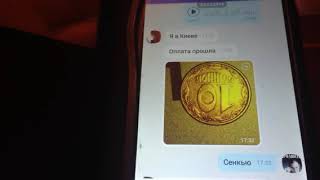 Новый ученик уроков нумизматики