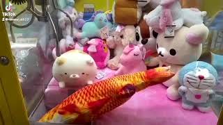 Cute Winning , Claw Machine