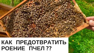 КАК ПРЕДОТВРАТИТЬ РОЕНИЕ ПЧЕЛ