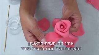 יצירת ורד מבצק סוכר עלמה