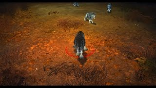 #02 Royal Quest | Пещерный Волк. Элитные монстры игры. (Elite Monsters games)