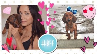 МОЯ СОБАКА ТАКСА (покупки для ЕВЫ) ♥