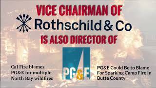 Vice Chairman of Rothschild Inc is Director of PG&E