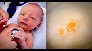 WE FOUND BLOOD IN OUR BABIES DIAPER... | Dr. Paul