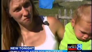 Mom: Dog saved baby son from drowning
