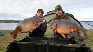 Potężne karpie z Rybnika - rozpoczęcie sezonu 2016 - Nash Tackle