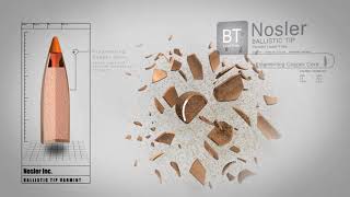 Пуля Nosler Ballistic Tip LeadFree 22 35 gr/2,5 грамм, ВС 0,201