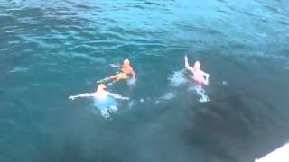Jedward and Tara Reid Take a Dive in Ibiza