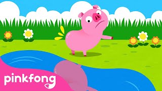 ¿Tú Has Visto Mi Colita? | Canciones de Animales | Pinkfong Canciones Infantiles