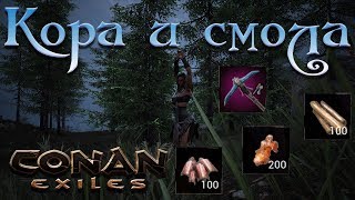 Conan Exiles: Смола. Кора. Сухое дерево. Все секреты конана #005