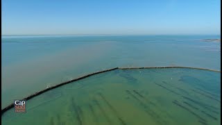 Cap Sud Ouest Nouvelle Aquitaine, grandeur nature (best of)