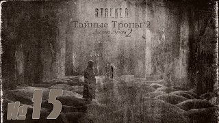 STALKER Тайные тропы 2 + Autumn Aurora 2 №15