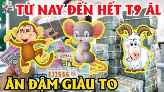TIẾT LỘ BÍ MẬT GIÚP 3 CON GIÁP TRÚNG QUẢ, ĂN ĐẬM GIÀU TO, TỪ NAY ĐẾN HẾT T9 ÂM LỊCH| TỬ VI TÀI LỘC