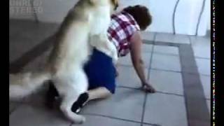 Dog Rapes Grandma!