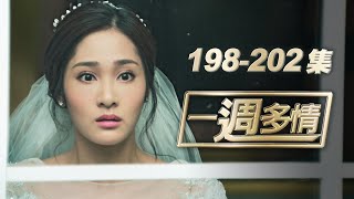 一週多情 EP198-202 | 群飛難逃婚禮魔咒 新人再度血濺紅毯！