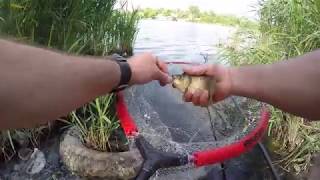 ГРЕБНОЙ канал ОДЕССА,КАРАСЬ на ПОПЛАВОК!nrg FISHING