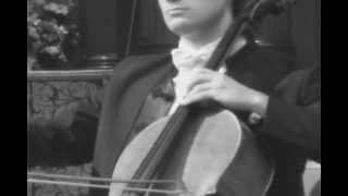 Stjepan Hauser - The Swan