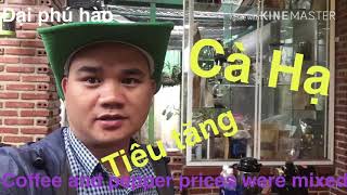 Giá cả nông sản , Giá cà phê , tiêu ngày 3/1/2020 / coffee price is down