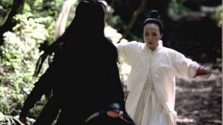 The Assassin