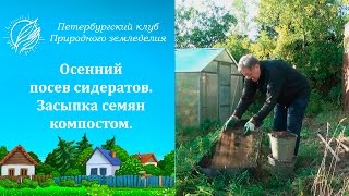 Осенний посев сидератов. 5 Засыпка семян компостом.