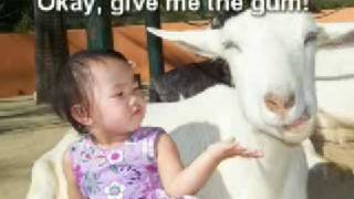 Sophie Lu Goes to the Zoo!
