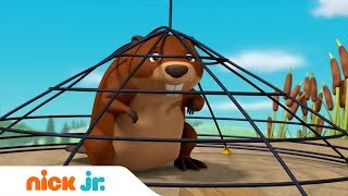 Щенячий патруль | Щенки спасают бобров | Nick Jr. Россия