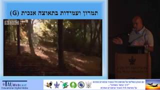 תעופת ציפורים מנקודת עיניו של טייס נץ