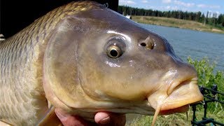 Лучшая насадка из самых простых компонентов.