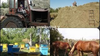vlog♥отдых в деревне♥пчелы,как качают мед♥лошадки♥сенокос♥