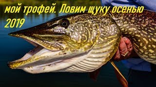 Щука-МАТЬ!!! Рыбалкана Маныче. поимка ТРОФЕЯ