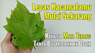 BIKIN GEGER... BERUNTUNG JIKA ANDA PUNYA TANAMAN INI, MATA MINUS, PANDANGAN KABUR SEMBUH TANPA OBAT