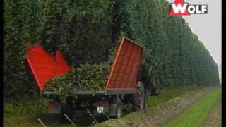 WOLF: Hopfenernte mit WSZ und Darre