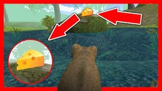 СИМУЛЯТОР Маленькой МЫШИ #42 НАШЛИ СЫР и ЗМЕЮ в Mouse Simulator
