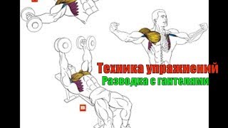 Разводка с гантелями лёжа. Разводка на горизонтальной и на наклонной лавке. Техника #10