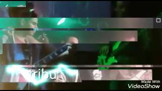Tribu rock - donde todo da igual