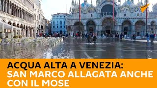 Acqua alta a Venezia: San Marco allagata anche con il Mose