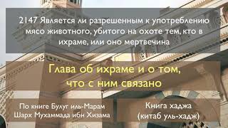 2147 Является ли разрешенным к употреблению мясо животного, убитого на охоте тем, кто в ихраме