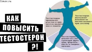 ТЕСТОСТЕРОН Как поднять тестостерон в 10 раз) Упражнения и рецепты