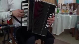 Красивая мелодия на Гармошке  dag_solo