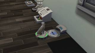 [Virtual Life - The Sims™] Cat riding a robot vacuum - Cats and Dogs EP