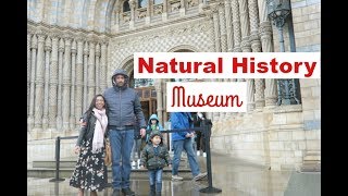 Timmy's First Visit To Museum! || National History Museum