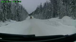 лесовозы не разьехались